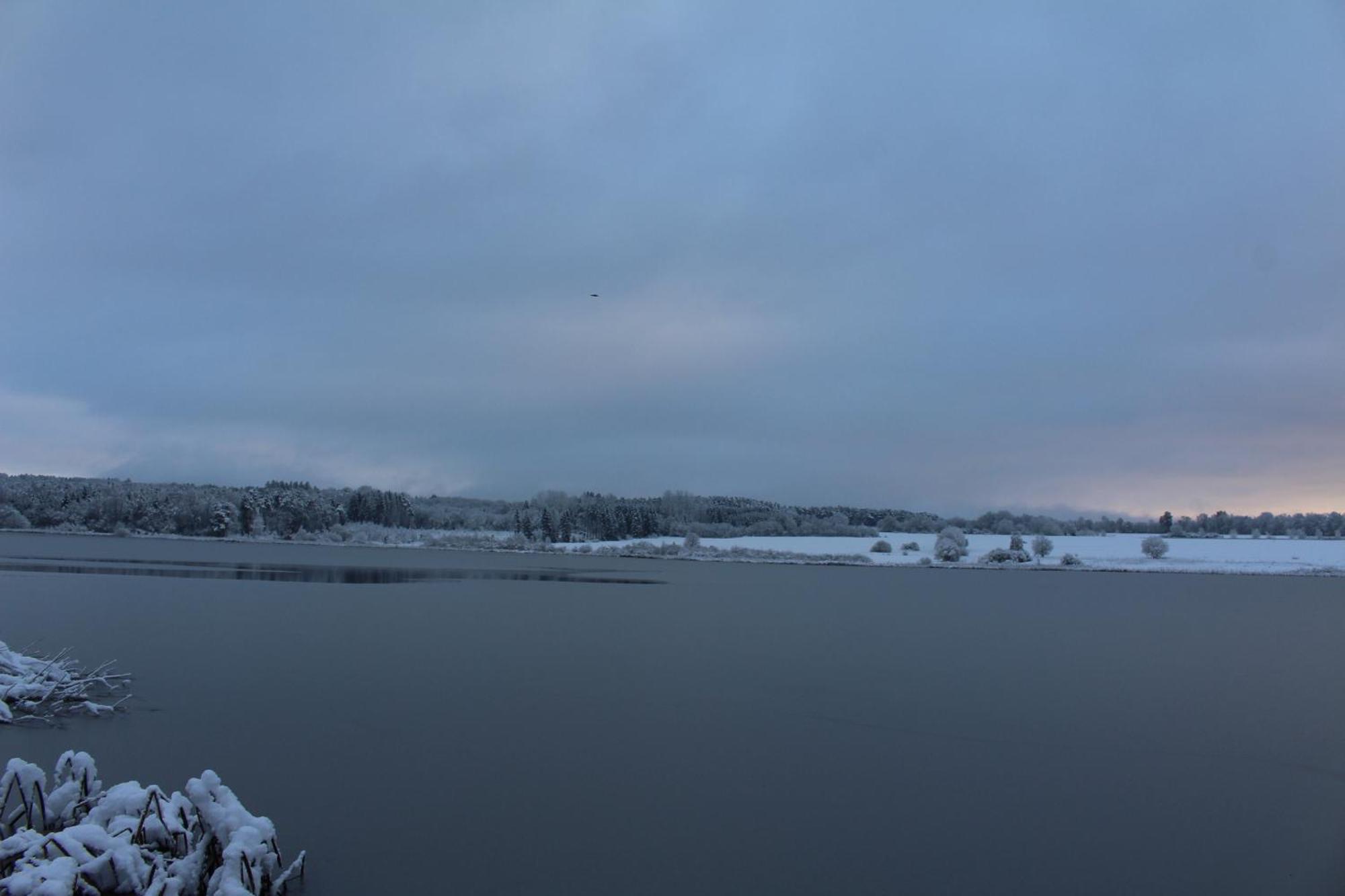 Ferienwohnungen Eifelstuben Mit Charme - Am See, Nahe Burg Ulmen Bagian luar foto