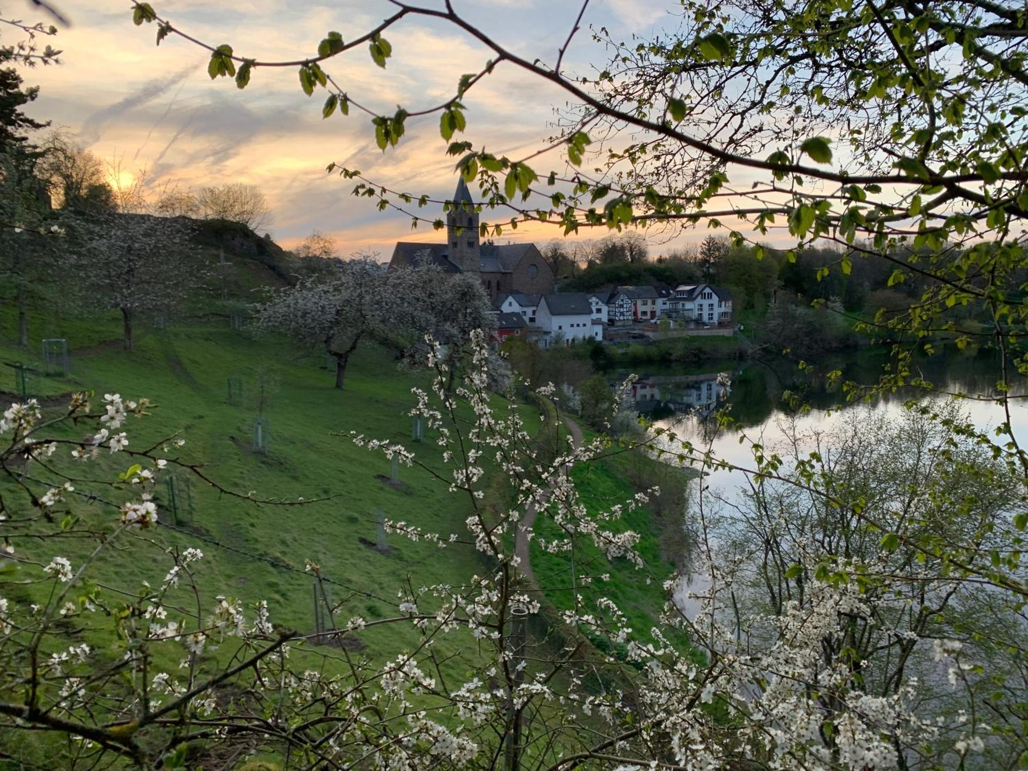 Ferienwohnungen Eifelstuben Mit Charme - Am See, Nahe Burg Ulmen Bagian luar foto